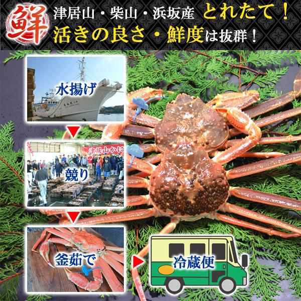 松葉ガニ 約1kg ギフト 津居山・柴山・浜坂産 産地直送 送料無料