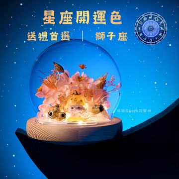 【快速出貨】十二星座燈飾花盅－獅子座 Leo ｜生日快樂 祝福 粘粘&Hope花藝坊