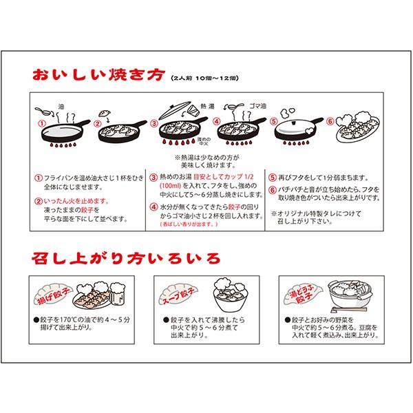 宇都宮餃子館人気の3種セット 送料無料 48個（16個×3種）