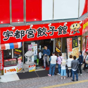 「宇都宮餃子館」食べ比べ8色セット