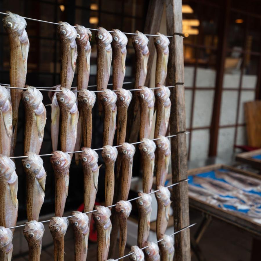 商品管理 京丹後の地元魚屋が作ったお任せ干物セット 3種 詰め合わせ