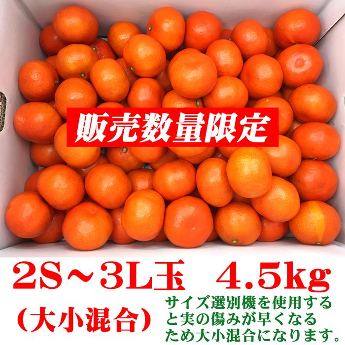 みかん 小原紅早生 約4.5kg 2S〜3L玉 送料無料 お歳暮 御歳暮 取り寄せ 香川産 ふるさと 産直 蜜柑 ミカン 柑橘 果物 くだもの フルーツ ギフト プレゼント 贈答