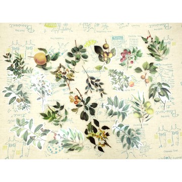 {布布村}果樹款 自然寫真貼紙 手帳貼紙包 創意植物貼紙 裝飾貼畫