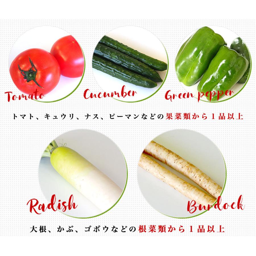 市場からご自宅へ直送　たっぷり野菜詰め合わせ　応援セット　（国産おまかせ野菜１０品セット）