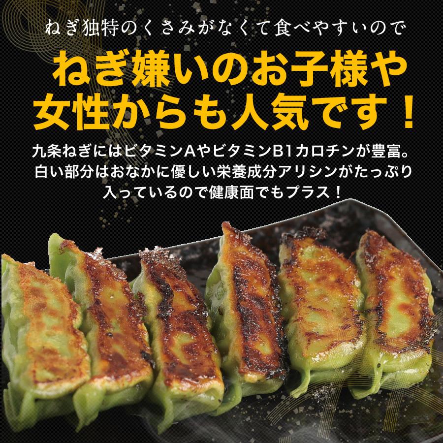 餃子 取り寄せ 送料無料 業務用 冷凍 生餃子 国産素材 時短 お手軽 簡単 大容量 餃子計画 緑皮九条ねぎ餃子100個入り