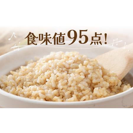 ふるさと納税 ワルツ農場のコシヒカリ 玄米 5kg 特別栽培米減農薬 有機肥料使用  ／ お米 .. 福井県あわら市