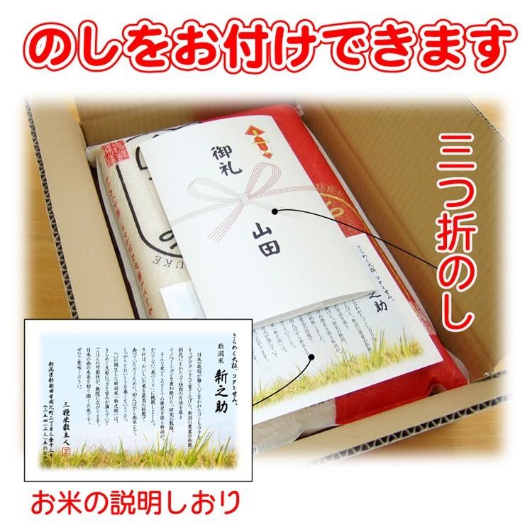 米 令和5年産 新潟産 新之助 5ｋｇ×2(10ｋｇ）真空パック お歳暮 2023