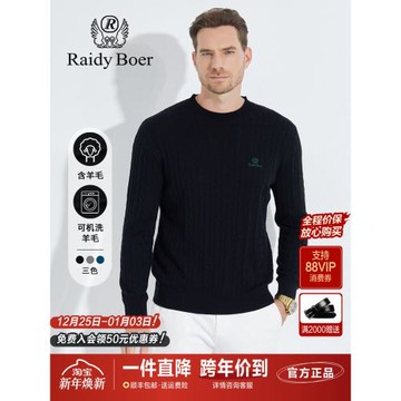 雷迪波爾男裝針織毛衣2024秋冬新款半高領刺繡針織羊毛套頭上衣男