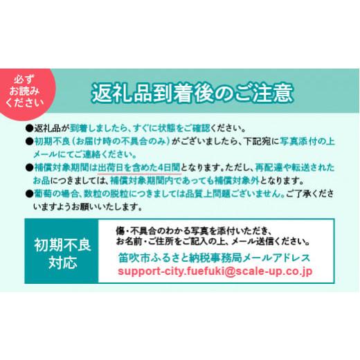 ふるさと納税 山梨県 笛吹市 ＜2024年先行予約＞ 激レア！！シャインマスカット糖度20度以上保障4kg以上 106-005