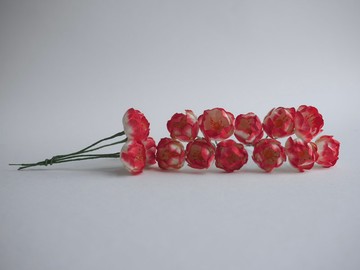 紙花、DIY 素材，共 25 朵牡丹，尺寸 3.5 公分，紅色搭配橘色花粉。
