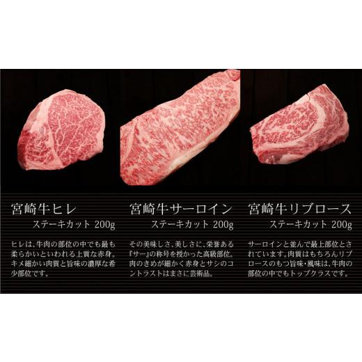 ふるさと納税 宮崎県 新富町 ＜宮崎牛＞リブロースサーロインヒレステーキ 食べ比べセット 合計600g