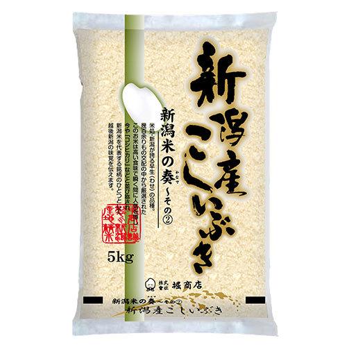 新米 堀商店 令和5年産 新潟こしいぶき10kg｜お取り寄せ つきたて 新米