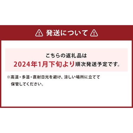 ふるさと納税 白ネギ 2Lサイズ 20本 熊本県人吉市