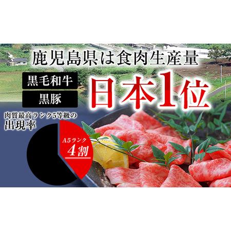 ふるさと納税 鹿児島黒毛和牛・鹿児島黒豚しゃぶしゃぶセット　計600g 鹿児島県大崎町