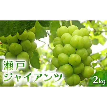 ふるさと納税 瀬戸ジャイアンツ 約2kg 3〜5房 ぶどう 葡萄 フルーツ 岡山 高梁市産 2024年 先行予約 岡山県高梁市