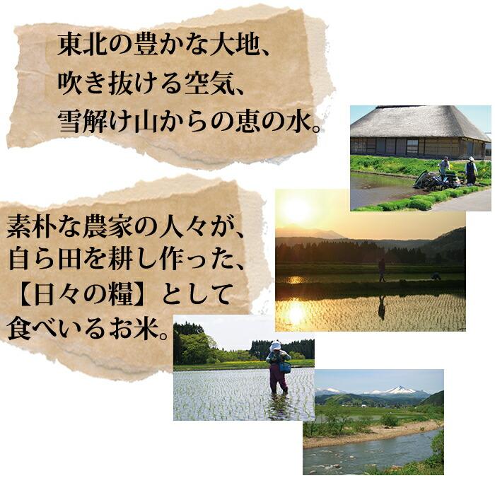 ●  米 玄米食 調整済 4年産 農家の食べているおいしい玄米10kg （5kg×2袋 小分け）オリジナル