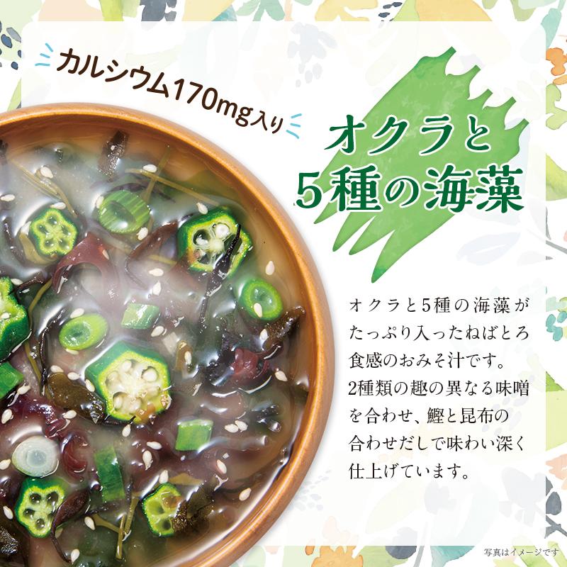 冬ギフト 大地と海の野菜を食べる3種のおみそ汁 30食 味噌汁 送料無料 選べる包装 のし 贈り物 お歳暮 寒中見舞い 季節の贈り物 お年賀