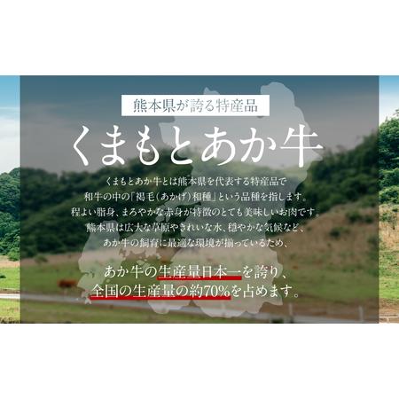 ふるさと納税 あか牛もつ鍋セット (あか牛ミックスホルモン500g、もつ鍋スープ500ml×2) 熊本県八代市