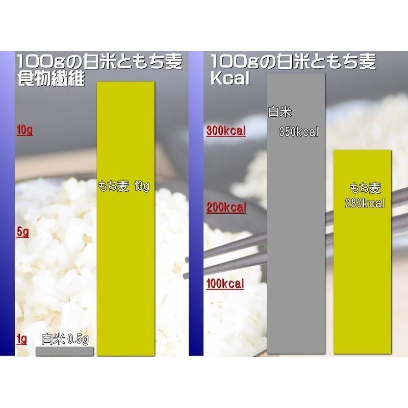 SKファーム 美仁 つがるもち麦 5kg