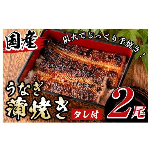 ふるさと納税 鹿児島県 湧水町 y135 国産うなぎ蒲焼き タレ付(2尾)鰻を炭火でじっくり手焼き！秘伝の自家製ダレもうなぎの美味さの秘訣！