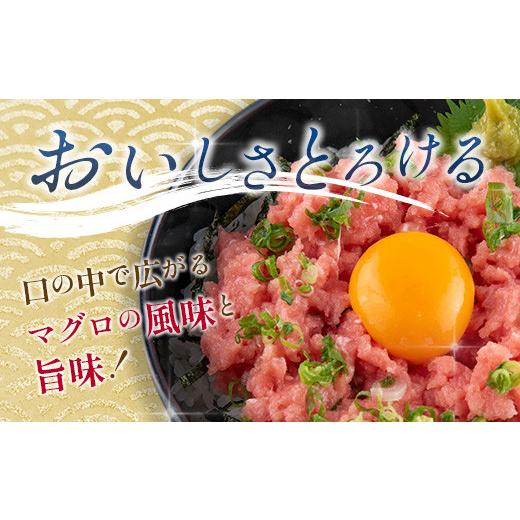 ふるさと納税 宮崎県 日南市 数量限定 訳あり 人気 ネギトロ 計1kg 魚 魚介 マグロ 国産 おかず まぐろ ねぎとろ アウトレット 送料無料_BB101-23