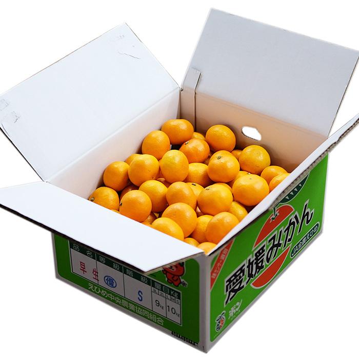 愛媛県産　みかん　優品　Sサイズ　10kg （箱） 国産 フルーツ