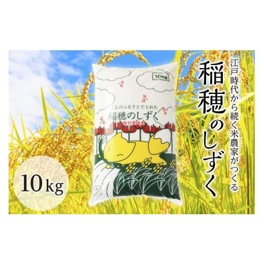 ふるさと納税 愛知県 半田市 稲穂のしずく10キロ