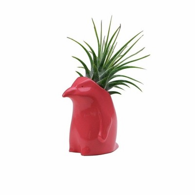 nagae naft Plant's animal プランツアニマル イワトビペンギン ピーチ(桃) (1316277)