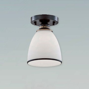 單吸頂燈 B209-81-25249