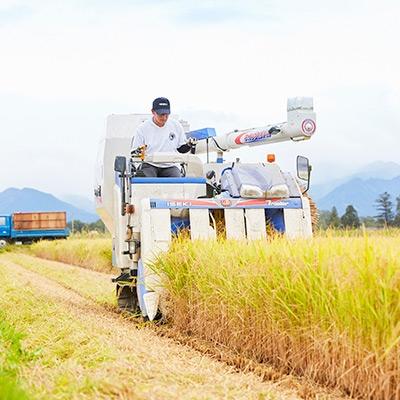 ふるさと納税 川西町 令和5年産　雪若丸　5kg