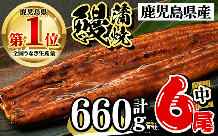 鹿児島県産 うなぎ蒲焼 中 6尾セット 鰻蒲焼 計約660g(約110g×6尾) タレ・山椒付き 鰻 ウナギ 国産B145