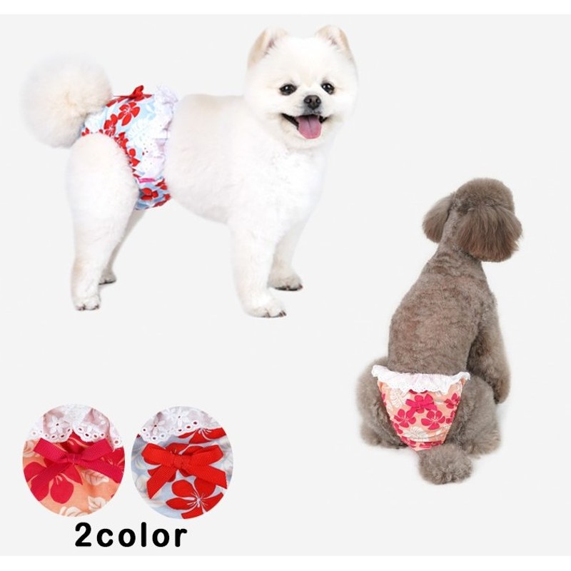 メール便可】 犬 花柄 犬用サニタリーパンツ マナーパンツ 生理パンツ しつけ用品 小型犬 中型犬 ペット用品 犬パンツ 可愛い 愛犬 犬服 通販  LINEポイント最大0.5%GET | LINEショッピング