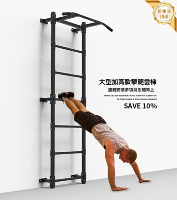 【靠牆省空間】健身肋木架 攀爬架 雲梯 引體向上架 TRX訓練架 多功能訓練 家用商用皆宜 力量體能訓練