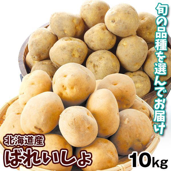 じゃがいも 10kg 北海道産 ばれいしょ 品種おまかせ 送料無料 食品