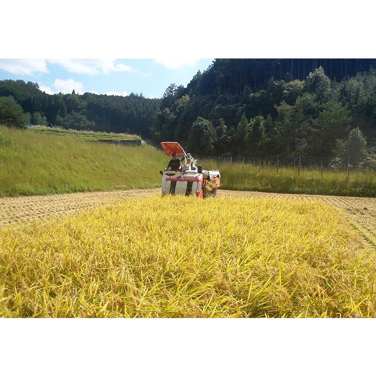  薄切りスライス餅。 しゃぶしゃぶ草餅