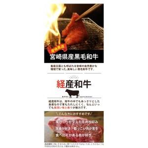 ふるさと納税 宮崎県産 黒毛和牛 焼肉 スライス セット 合計600g (各300g×1パック) 牛肉 ウデ モモ 牛肉 焼肉 冷凍 牛肉 宮崎県産 九州産 .. 宮崎県美郷町