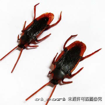 100入NG仿真蟑螂  100入OK 假蟑螂