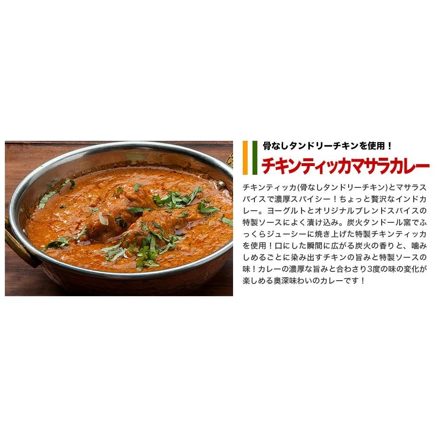 ナンカレーセットB 送料無料 インドカレー インド料理 セット商品