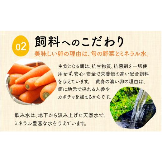 ふるさと納税 福井県 あわら市 福井ブランド「福地鶏」の卵 50個 濃厚で甘くておいしい！（25個入×2段）定期便