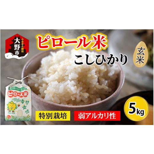 ふるさと納税 福井県 大野市 こだわりの米！弱アルカリ性のピロール米 こしひかり 玄米 5kg [A-009002]