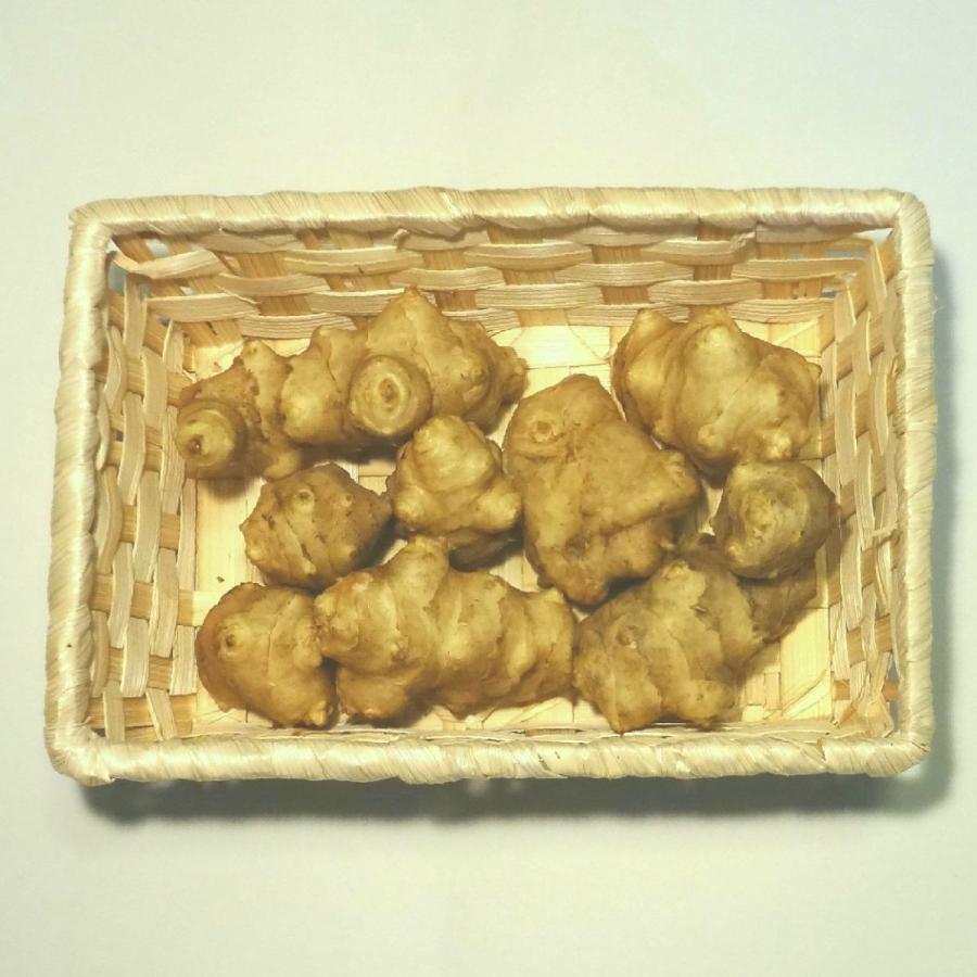 菊芋（キク芋）約200ｇ　福岡産