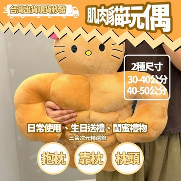 ✨桃園出貨✨肌肉毛絨玩具  公仔  玩偶生日禮物女 客廳抱枕 辦公室抱枕 車用腰枕 午睡枕  搞怪腹肌貓玩偶
