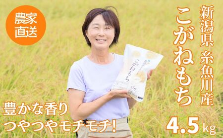 新潟県産 もち米『こがねもち』4.5kg（3升）つやつやモチモチ もち米ならではの芳醇な香り 清耕園ファーム