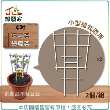 【綠藝家】4吋 藤蔓架.攀藤架 2個/組(小型植栽適用) 攀藤植物用 荷蘭盆 固定 園藝 種植 支撐架 攀藤