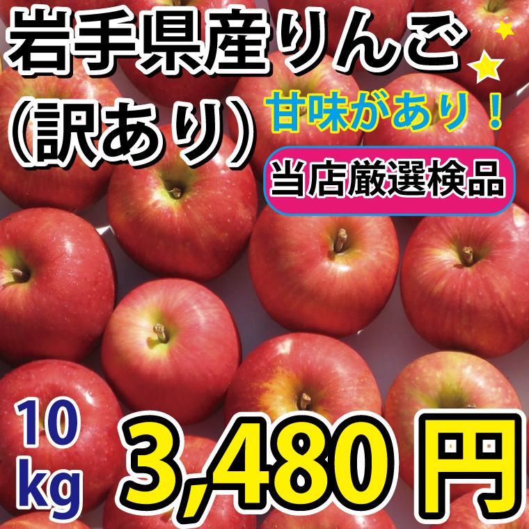 りんご 訳あり 10kg