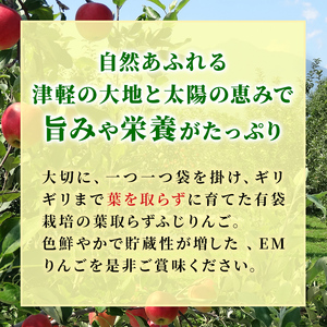 4月発送 贈答用 EM葉取らずふじ 約5kg（有袋栽培・CA貯蔵）