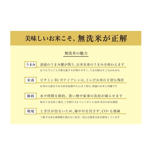 ふるさと納税 北海道 厚真町 《令和5年度産 新米》1年間毎月届く！定期便「北海道厚真産さくら米5kg」＋特産品3回コース