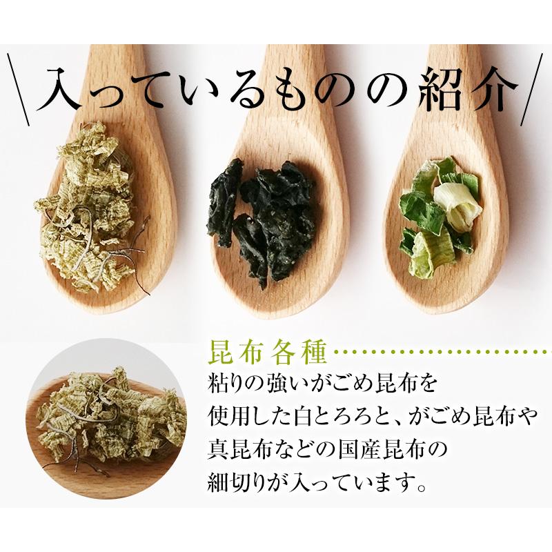 昆布 海藻 がごめ昆布 わかめ とろろ昆布入 即席 大袋 海藻スープ インスタント お得 食品 たっぷり50杯分 選べる プレーンorうめ味 とろりんスープ 200g×1袋