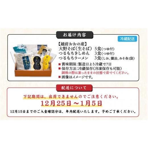 ふるさと納税 福井県 大野市 越前大野産 石臼挽き 越前そば 生そば5食 ＋ きしめん＆ラーメン各3食（つゆ、スープ付）