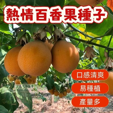 🔥熱情百香果種子BXG-10 西番蓮種子 時計果、時鐘果  當季新籽 發芽率高 營養豐富 多汁可口,果實飽滿薄皮